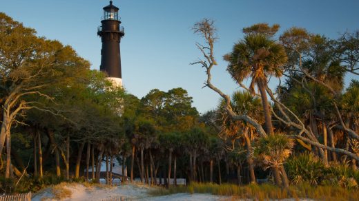 31 цікавий факт про штат Південна Кароліна - Discovery 13