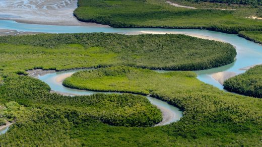 23 цікаві факти про Гвінею-Бісау - Discovery 73