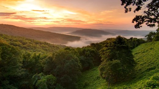 22 цікаві факти про штат Арканзас - Discovery 7