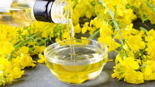 26 цікавих фактів про олії - Discovery 5